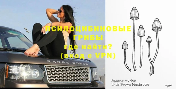 spice Навашино