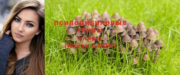 spice Навашино